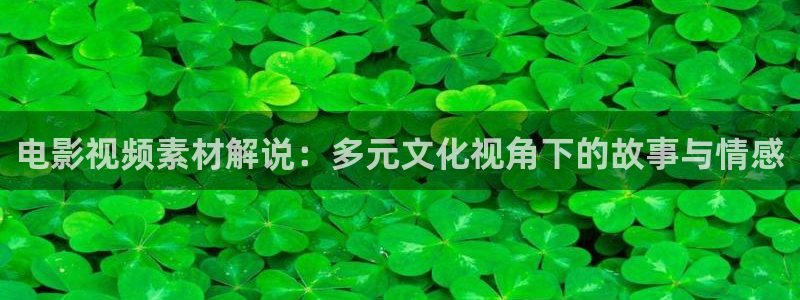 西瓜集