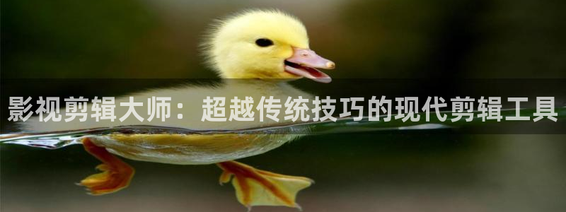 西瓜电影在线观看网站