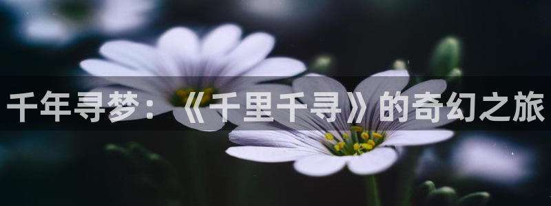 西瓜看球在线免费观看