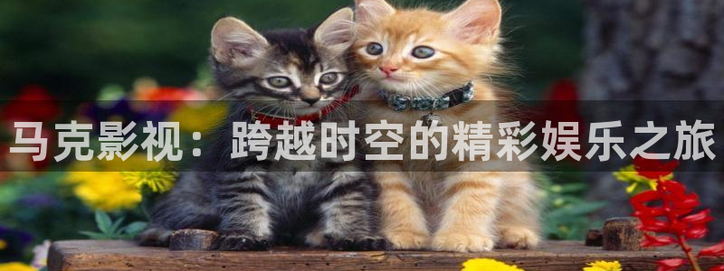 勇敢的心免费观看西瓜