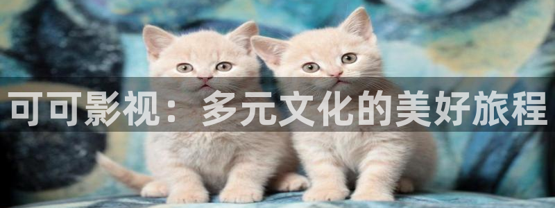 西瓜啊