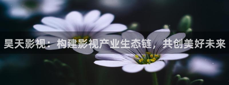 乔家的儿女在线观看免费完整版西瓜