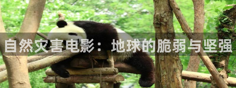 西瓜影院理论电影理论