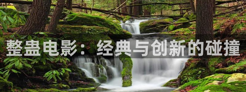 电视剧青春无季免费观看西瓜