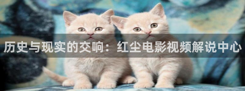 西瓜看看电影