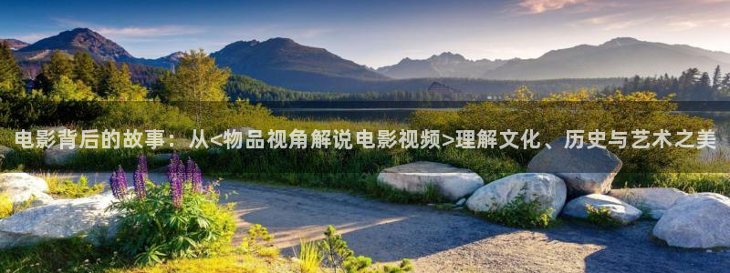 芝麻胡同完整版免费观看西瓜