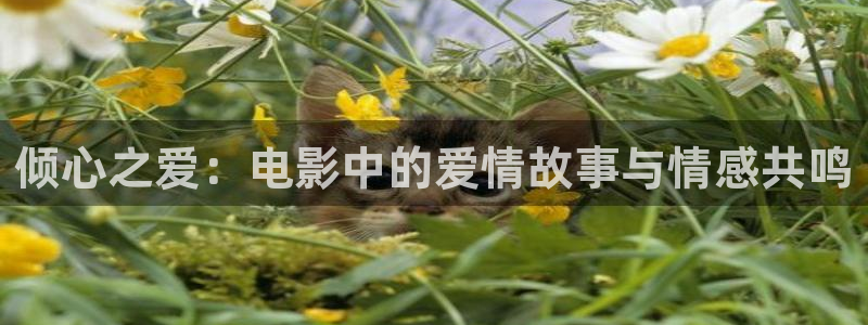 奔腾年代西瓜免费观看