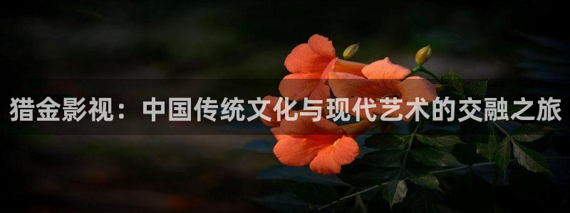 西瓜大影院