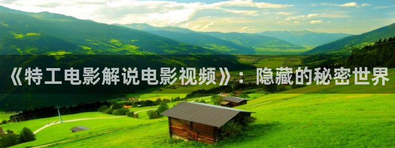 西瓜视