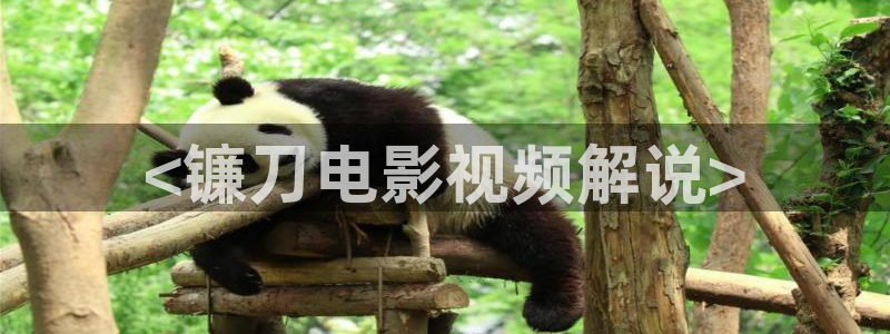 航海王动漫全集在线观看免费西瓜