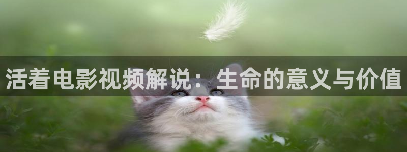 西瓜网影院