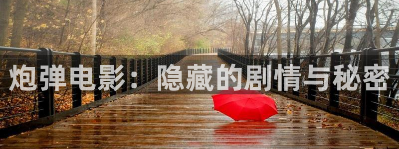 爱丫爱丫免费观看电视剧西瓜影院