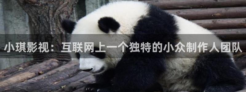 绝密543西瓜影院