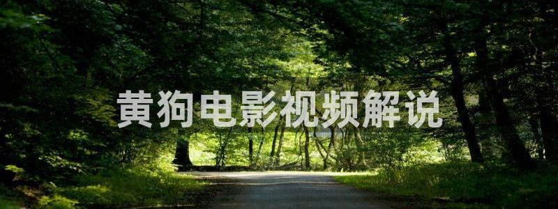 电影西瓜视