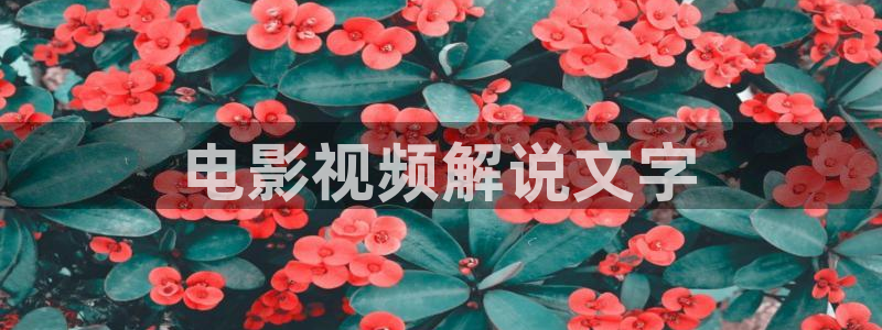 西瓜视频在线观