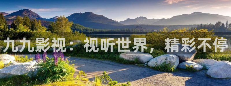安家电视剧全集免费观看西瓜
